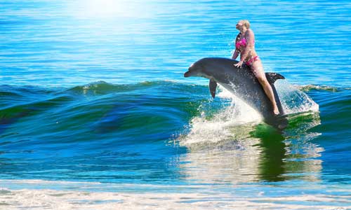 dolphin-girl-riding