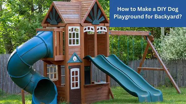 https://petsloud.com/wp-content/uploads/2023/10/How-to-Make-a-DIY-Dog-Playground-for-Backyard.jpg