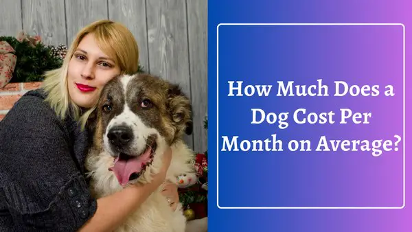  how much does a dog cost per month on average